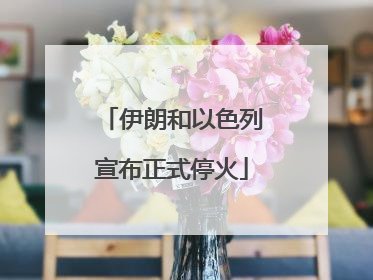 伊朗和以色列宣布正式停火