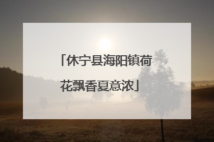 休宁县海阳镇荷花飘香夏意浓