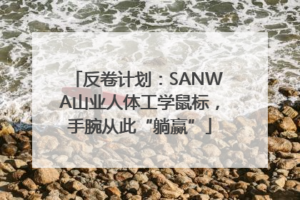 反卷计划：SANWA山业人体工学鼠标，手腕从此“躺赢”