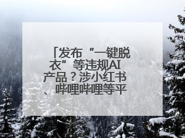 发布“一键脱衣”等违规AI产品？涉小红书、哔哩哔哩等平台！上海出手