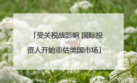 受关税战影响 国际投资人开始重估美国市场