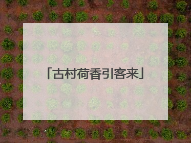 古村荷香引客来