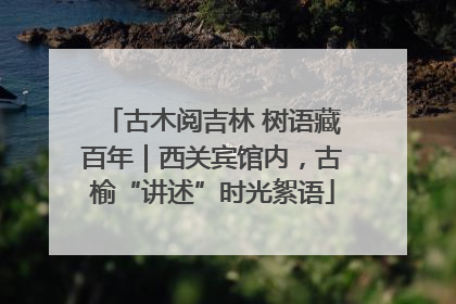 古木阅吉林 树语藏百年｜西关宾馆内，古榆“讲述”时光絮语