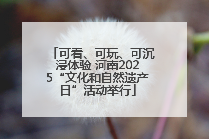 可看、可玩、可沉浸体验 河南2025“文化和自然遗产日”活动举行