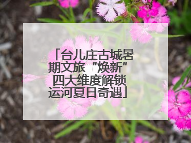 台儿庄古城暑期文旅“焕新” 四大维度解锁运河夏日奇遇