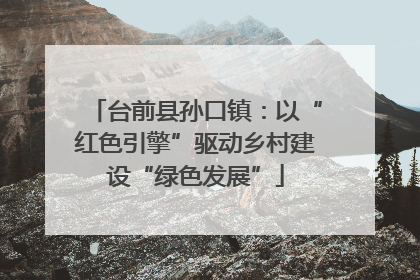 台前县孙口镇：以“红色引擎”驱动乡村建设“绿色发展”