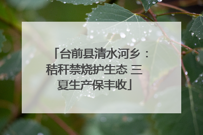 台前县清水河乡：秸秆禁烧护生态 三夏生产保丰收