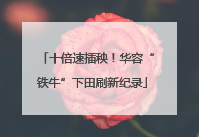十倍速插秧！华容“铁牛”下田刷新纪录