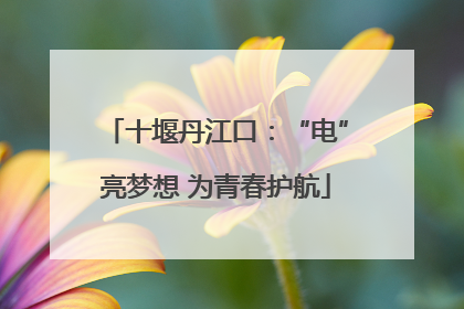 十堰丹江口：“电”亮梦想 为青春护航
