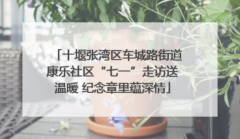 十堰张湾区车城路街道康乐社区“七一”走访送温暖 纪念章里蕴深情