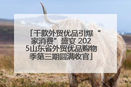 千款外贸优品引爆“家消费”盛宴 2025山东省外贸优品购物季第三期圆满收官