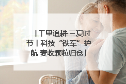 千里追耕·三夏时节丨科技“铁军”护航 麦收颗粒归仓