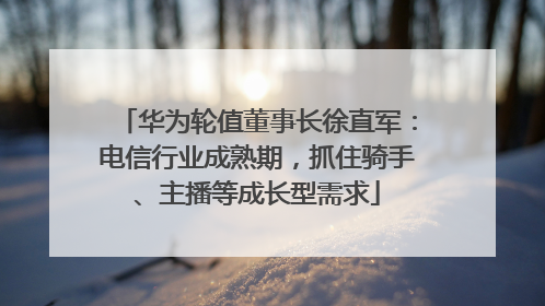 华为轮值董事长徐直军：电信行业成熟期，抓住骑手、主播等成长型需求