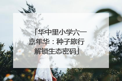 华中里小学六一嘉年华：种子旅行解锁生态密码