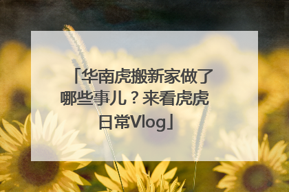 华南虎搬新家做了哪些事儿？来看虎虎日常Vlog