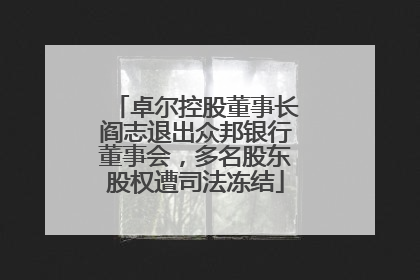 卓尔控股董事长阎志退出众邦银行董事会，多名股东股权遭司法冻结