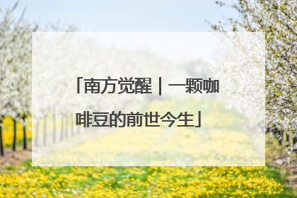 南方觉醒｜一颗咖啡豆的前世今生