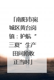 南阳市宛城区黄台岗镇：护航“三夏”生产 田间抢收正当时