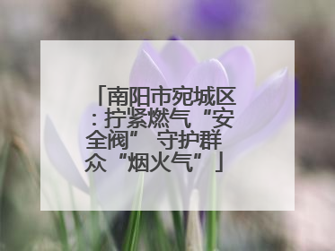 南阳市宛城区：拧紧燃气“安全阀” 守护群众“烟火气”