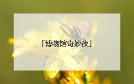博物馆奇妙夜