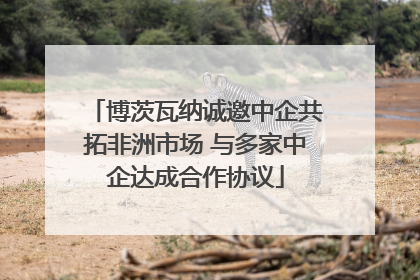 博茨瓦纳诚邀中企共拓非洲市场 与多家中企达成合作协议