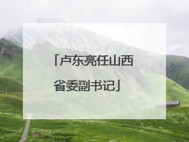 卢东亮任山西省委副书记