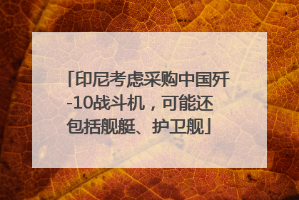印尼考虑采购中国歼-10战斗机，可能还包括舰艇、护卫舰