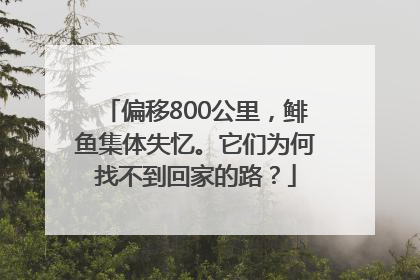 偏移800公里，鲱鱼集体失忆。它们为何找不到回家的路？