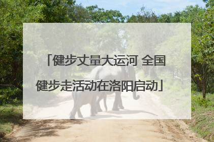 健步丈量大运河 全国健步走活动在洛阳启动