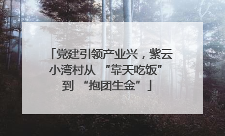 党建引领产业兴，紫云小湾村从 “靠天吃饭” 到 “抱团生金”
