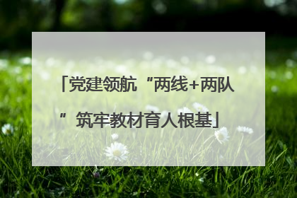 党建领航“两线+两队”筑牢教材育人根基