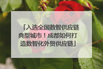 入选全国数智供应链典型城市！成都如何打造数智化外贸供应链