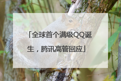 全球首个满级QQ诞生，腾讯高管回应