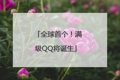 全球首个！满级QQ将诞生