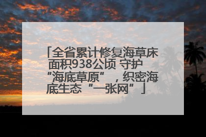 全省累计修复海草床面积938公顷 守护“海底草原”，织密海底生态“一张网”
