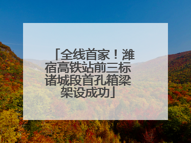 全线首家！潍宿高铁站前三标诸城段首孔箱梁架设成功