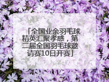 全国业余羽毛球精英汇聚孝感，第二届全国羽毛球邀请赛10日开赛