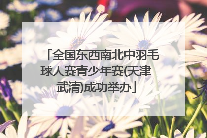 全国东西南北中羽毛球大赛青少年赛(天津武清)成功举办