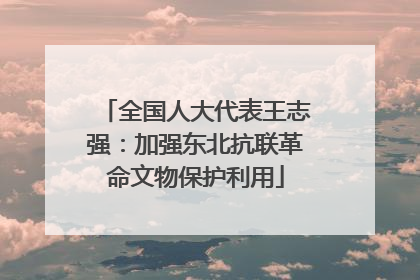 全国人大代表王志强：加强东北抗联革命文物保护利用