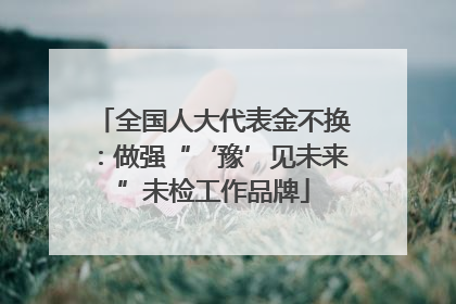 全国人大代表金不换：做强“‘豫’见未来”未检工作品牌