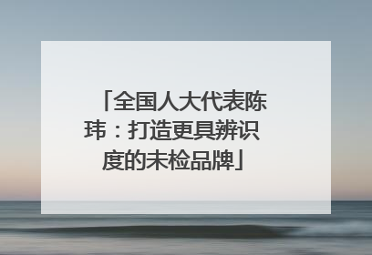全国人大代表陈玮：打造更具辨识度的未检品牌