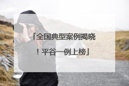 全国典型案例揭晓！平谷一例上榜