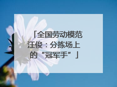 全国劳动模范汪俊：分拣场上的“冠军手”