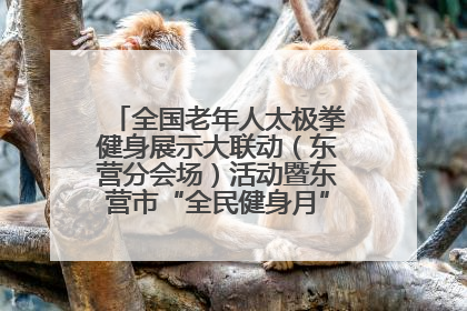 全国老年人太极拳健身展示大联动（东营分会场）活动暨东营市“全民健身月”启动仪式成功举行