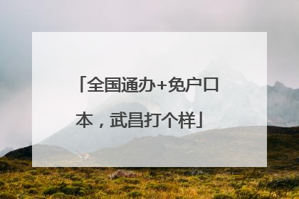 全国通办+免户口本，武昌打个样