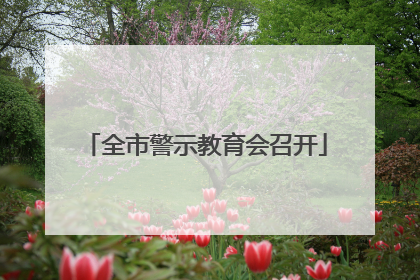 全市警示教育会召开