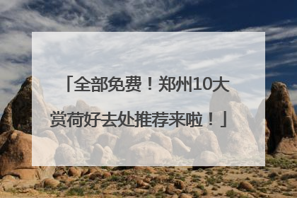 全部免费！郑州10大赏荷好去处推荐来啦！
