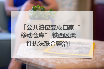 公共泊位变成自家“移动仓库” 铁西区柔性执法联合整治
