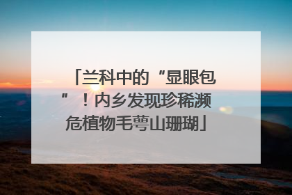 兰科中的“显眼包”！内乡发现珍稀濒危植物毛萼山珊瑚