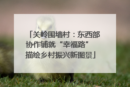 关岭围墙村：东西部协作铺就“幸福路” 描绘乡村振兴新图景